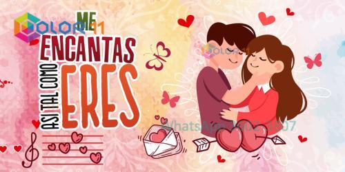 Amor 006