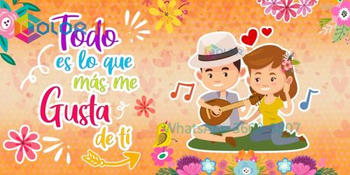 Amor 010