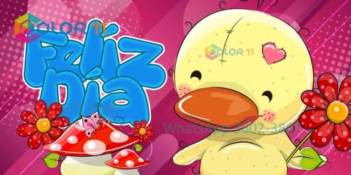 Amor 047
