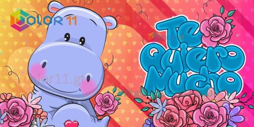 Amor 049