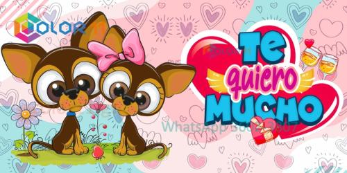 Amor 053