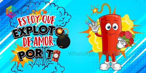Amor 088