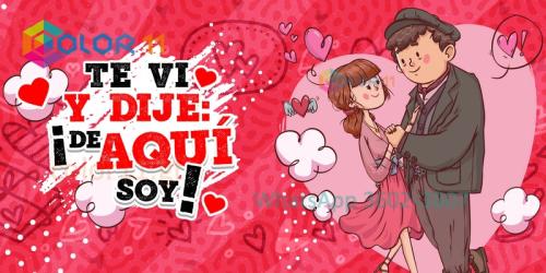 Amor 091