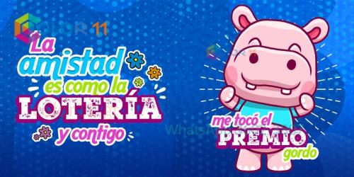 Amor 097