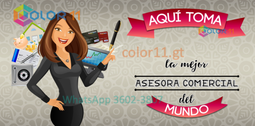 Asesora comercial