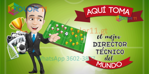 Director técnico