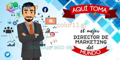 Director de marketing