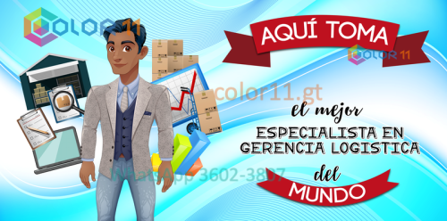 Especialista en gerencia logística