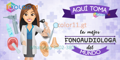 Fonoaudiologa