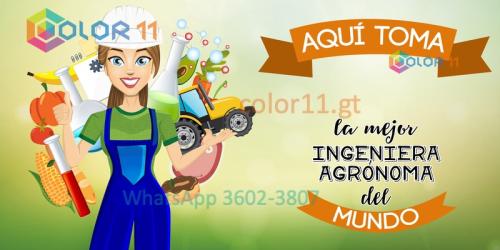Ingeniera agrónoma