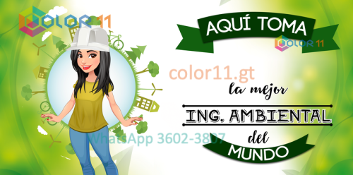 Ingeniera ambiental