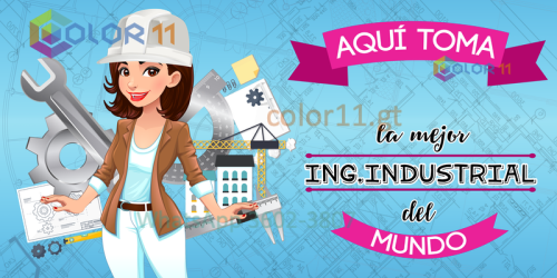 Ingeniera industrial
