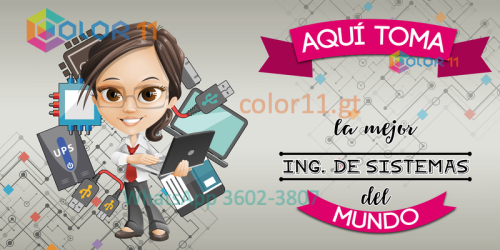 Ingeniera en sistemas