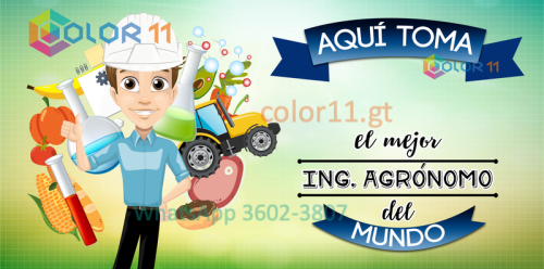 Ingeniero agrónomo