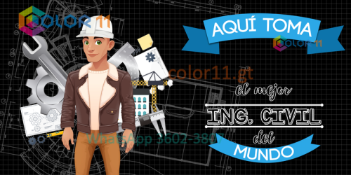 Ingeniero civil