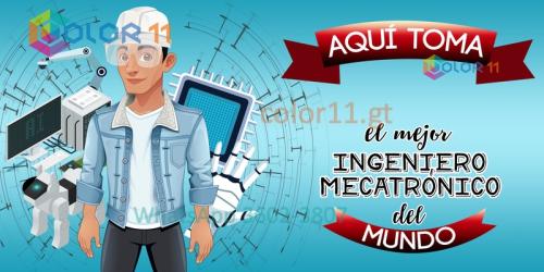 Ingeniero Mecatrónico