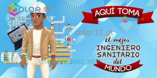 Ingeniero sanitario