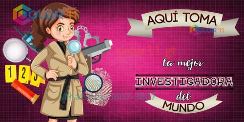 Investigadora