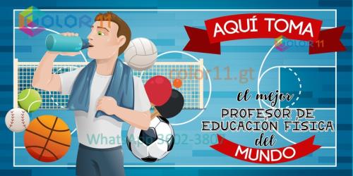 Profesor de educación física
