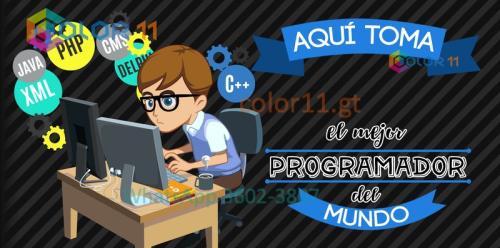 Programador