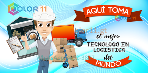 Tecnólogo en Logística