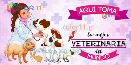 Veterinaria
