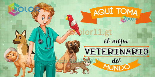 Veterinario