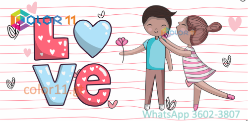 AMOR 11