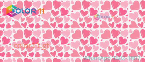 AMOR 14