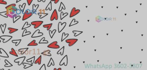 AMOR 23
