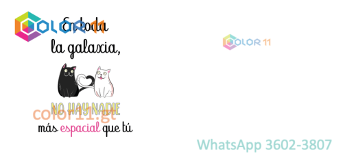 AMOR 28