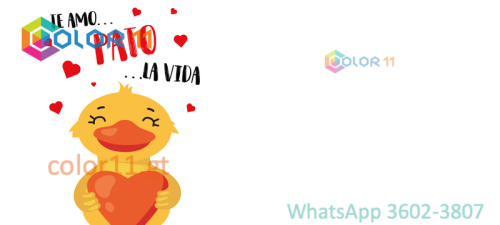 AMOR 33