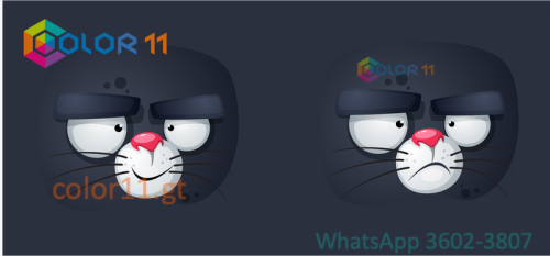 GATOS 03