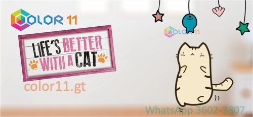 GATOS 11