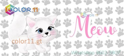 GATOS 15