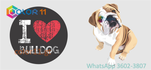 PERROS 04