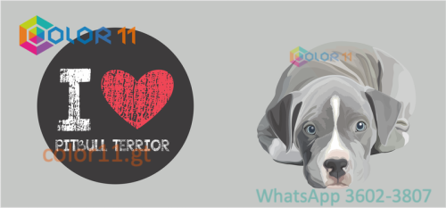 PERROS 08