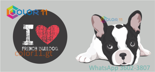 PERROS 09