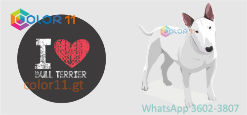 PERROS 11