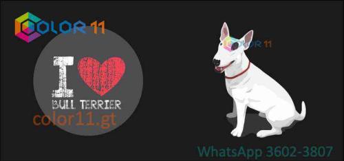 PERROS 12