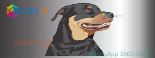 PERROS 20